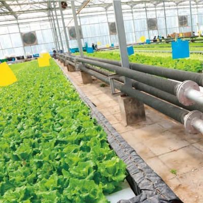 湿度制御システム付きの一時的な加熱用水培膜温室 JX-FG-212