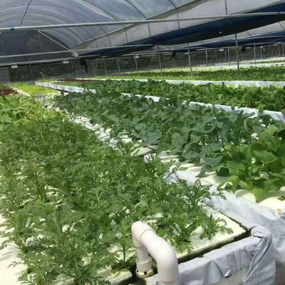 Po/PEフィルム 水育温室 野菜用 二重層