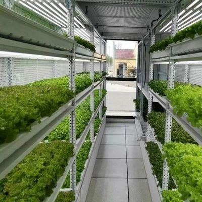 jxコンテナ温室 野菜 果物 花を栽培する垂直植物工場