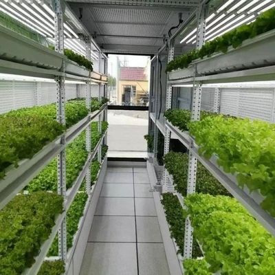 jxコンテナ温室 野菜 果物 花を栽培する垂直植物工場