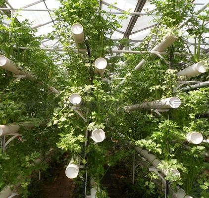 温室の湿度管理のための二層商業用フィルム温室システム