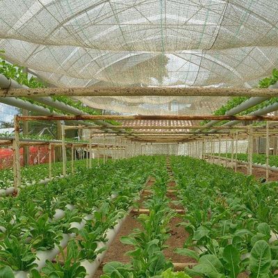 温室の湿度管理のための二層商業用フィルム温室システム