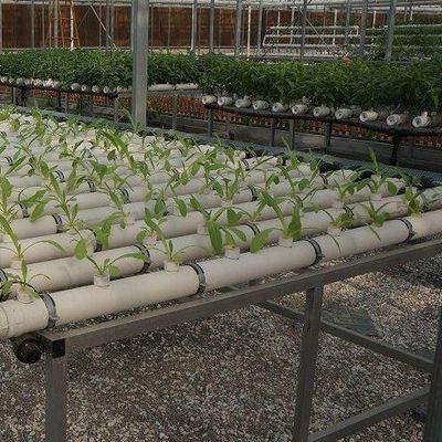 野菜のための無土培養フィルム温室設計と一時的な加熱方法