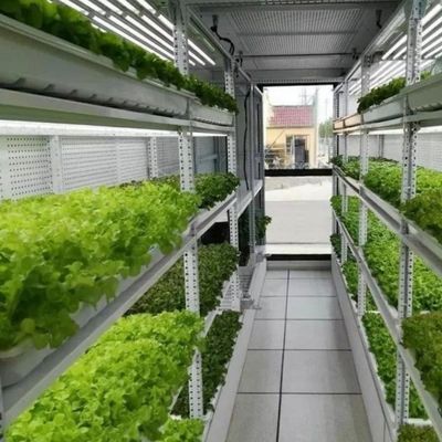 ティンジョウ・ジュキヤング 野菜 果物 花のための完全自動水栽培栽培システム