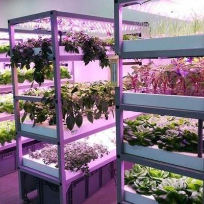 コンテナ温室用照明システム パッケージ 総重量 2000,000kg 通貨 US