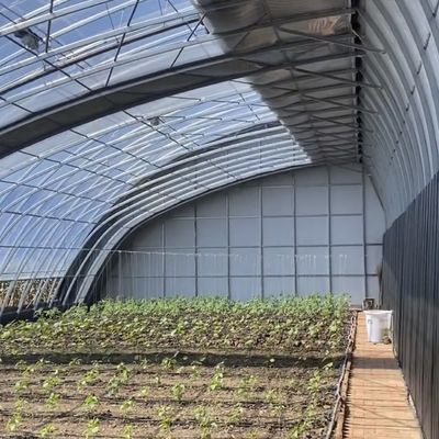 多スパン効率のためのカスタマイズ可能な野菜フィルム水栽培温室システム