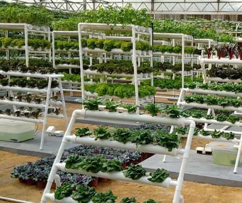 水育システムを持つ船用コンテナ温室の形状の屋根