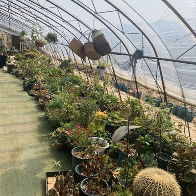 鉄鋼構造 植樹 植花 滴滴灌水 システム 30 日 返金