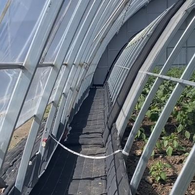 鉄鋼構造 植樹 植花 滴滴灌水 システム 30 日 返金