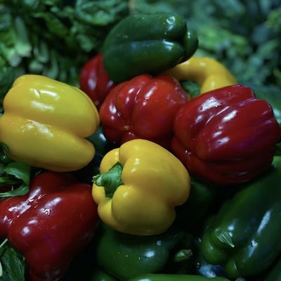 野菜 太陽光 温室 水栽培 散布灌輸 商業用品のカスタマイズ