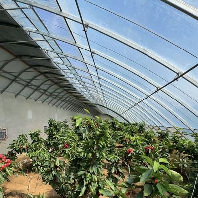 100.000kg カスタマイズ 植花 滴滴灌水 野菜 日光 温室
