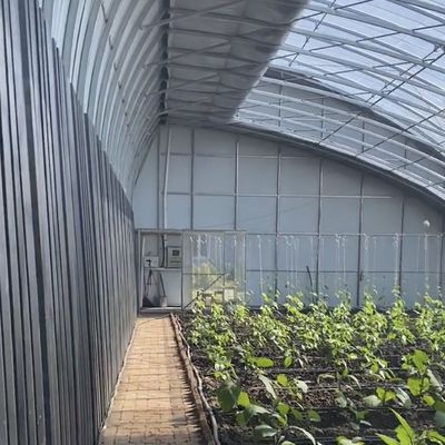 水産物と野菜栽培システムのためのアーチドック水産温室