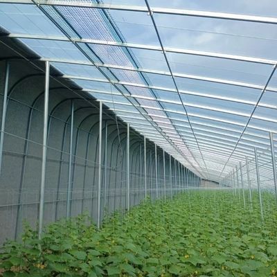 太陽光とスプレー灌輸で成長を最適化する 花植え温室