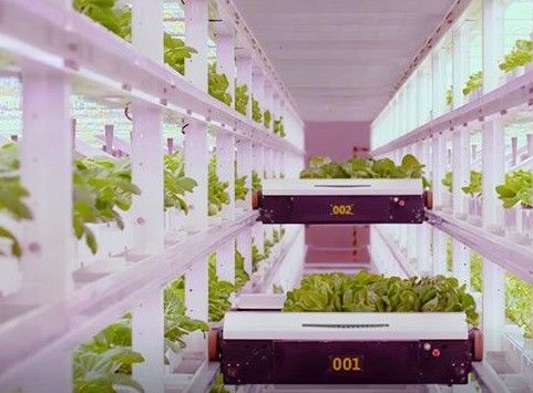 形状の屋根とカスタマイズオプションの葉野菜輸送コンテナガーデン