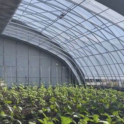 制御環境 水産栽培 水産栽培 野菜生産システム