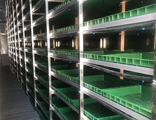 建築用材のための鋼製の持ち運び可能な葉野菜輸送コンテナ