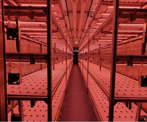 建築用材のための鋼製の持ち運び可能な葉野菜輸送コンテナ