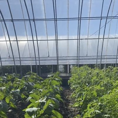 野菜膜 花植える温室 滴滴灌水とプラスチックシートカバー
