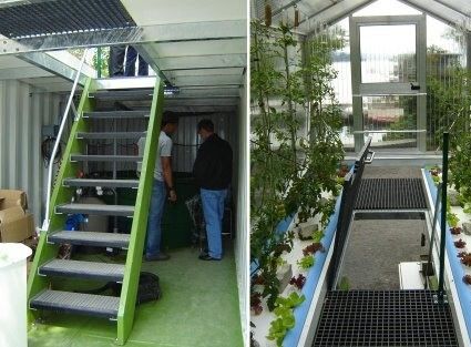 アメリカ 通貨 インテリジェント温度制御 屋根のシート 葉野菜 コンテナハウス