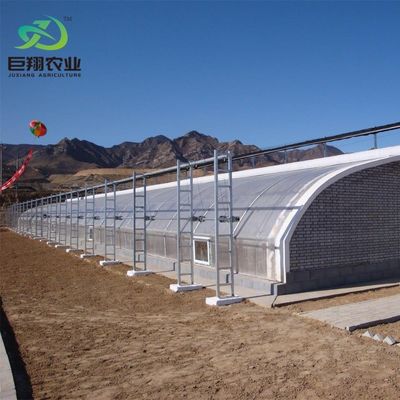 この大型水栽培野菜日光温室で 生産量を最大化してください