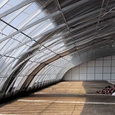 この大型水栽培野菜日光温室で 生産量を最大化してください