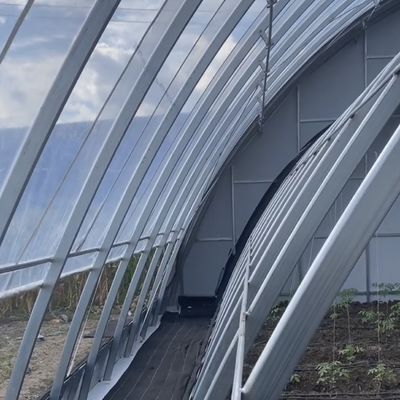この大型水栽培野菜日光温室で 生産量を最大化してください