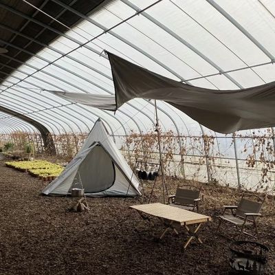 30日間の返品保証 野菜 日光 温室 スプレー灌輸システム 100.000kg