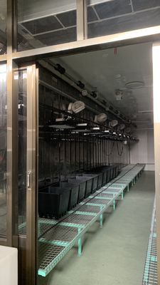 Juxiang 40hq Reefer コンテナ 温室 運送コストと推定納期