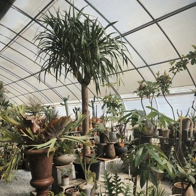 オーダーメイド リクエスト 太陽光 温室 水耕栽培 植物 植え付け システム