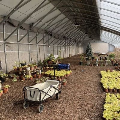 オーダーメイド リクエスト 太陽光 温室 水耕栽培 植物 植え付け システム