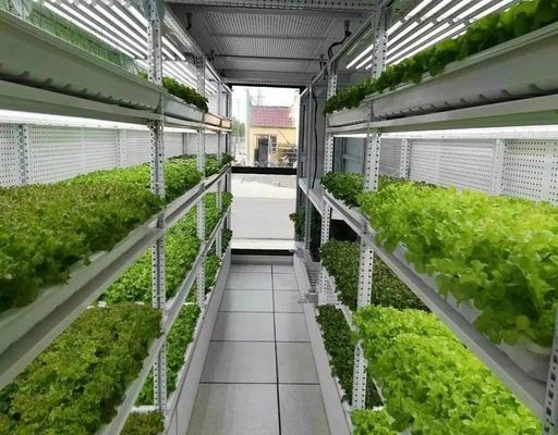 コンテナ農業照明システム 推定納期と低運送コスト