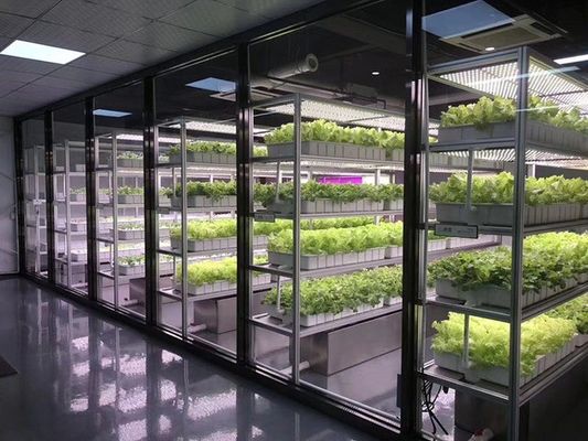 コンテナ農業照明システム 推定納期と低運送コスト