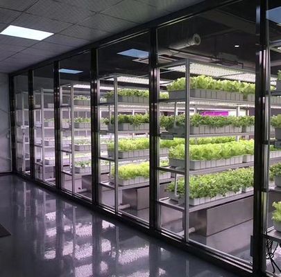 部門 輸送 コンテナ 緑地 LED照明 野菜栽培のためのソリューション