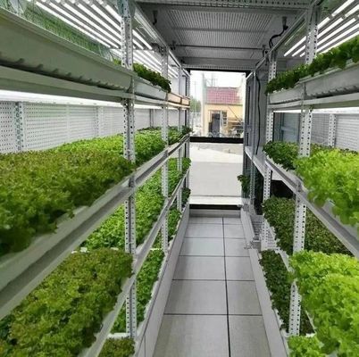 部門 輸送 コンテナ 緑地 LED照明 野菜栽培のためのソリューション
