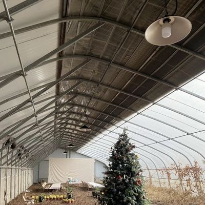 植物の種を蒔くための太陽光温室 US 20/平方メートル