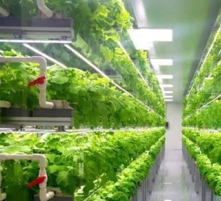 温室水栽培垂直農業コンテナシステム 40FT コンテナ 40HQ リファー