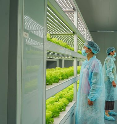 温室水栽培垂直農業コンテナシステム 40FT コンテナ 40HQ リファー