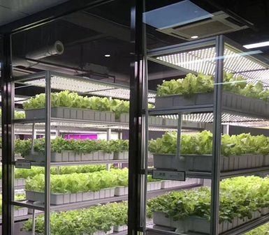 温室水栽培垂直農業コンテナシステム 40FT コンテナ 40HQ リファー