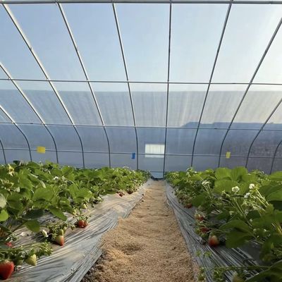 花植え 太陽光 鉄鋼構造の温室 二重層または単層