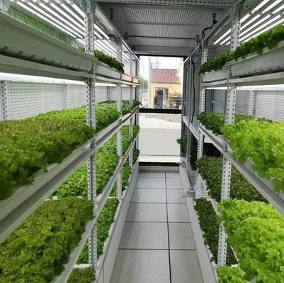 形状の屋根のための水栽培垂直農業コンテナシステム