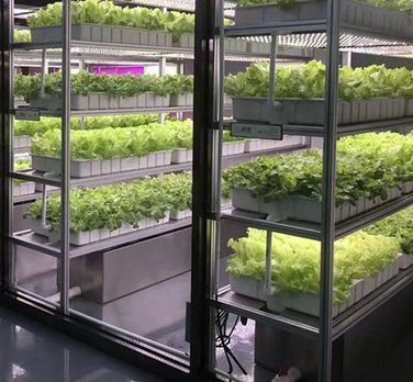 形状の屋根のための水栽培垂直農業コンテナシステム