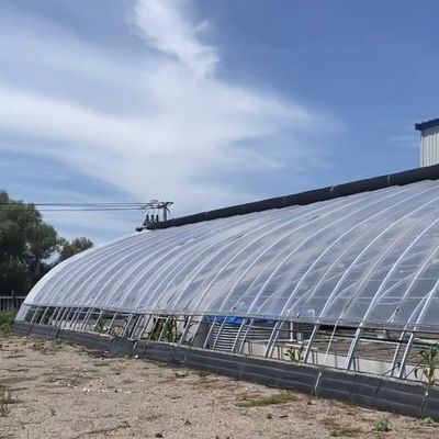鉄筋構造の太陽光温室でアーチド屋根水栽培栽培システム
