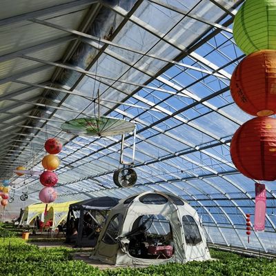 予算内での二重または単層野菜太陽光温室システム