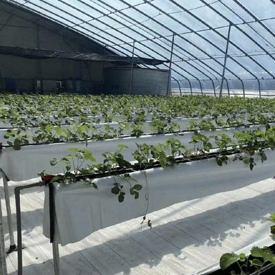 花植え 滴滴灌輸 システム 太陽光 温室 注文付き