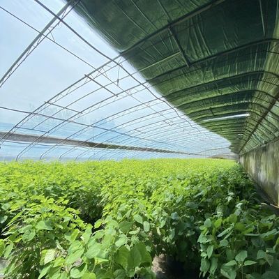 花植え 滴滴灌輸 システム 太陽光 温室 注文付き
