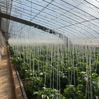 花植え 滴滴灌輸 システム 太陽光 温室 注文付き