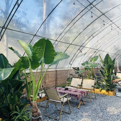 花植え 滴滴灌輸 システム 太陽光 温室 注文付き