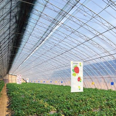 マルチスペン水栽培温室 太陽光による成長 輸送コストと配達時間
