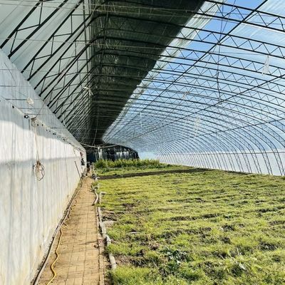 水滴灌輸 野菜や花を植えるための鋼鉄構造温室 JX-A00227