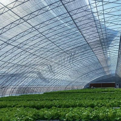 温室温室野菜生産システムのための30日間の返金